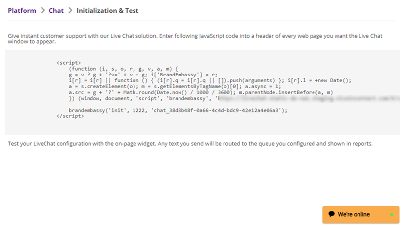 The Initialization and Test page in the Digital First Omnichannel admin portal, where you can copy the JavaScript code for your chat channel.