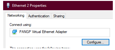 The Properties window for the VPN adapter, showing the Networking tab. The name of the adapter is in the Connect Using field.